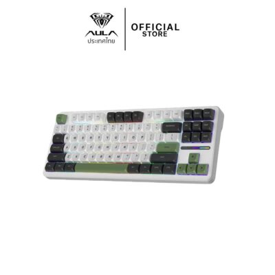 WIRELESS KEYBOARD (คีย์บอร์ดไร้สาย) AULA F87 BLACK/WHITE/GREEN GRAY SWITCH